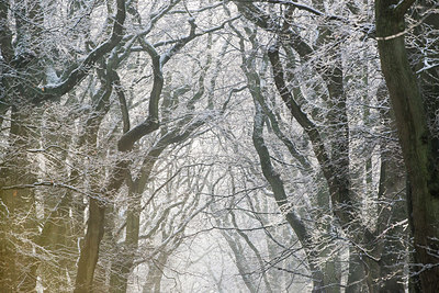 BUITEN BEELD Foto: 279433
