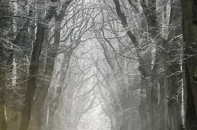 BUITEN BEELD Foto: 279437