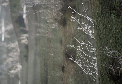 BUITEN BEELD Foto: 279444