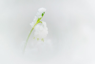 BUITEN BEELD Foto: 279567