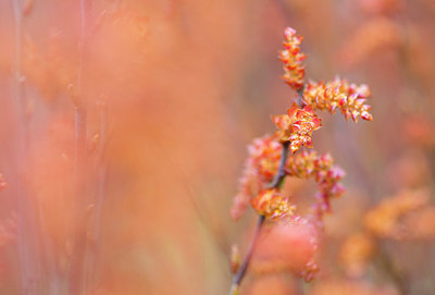 BUITEN BEELD Foto: 279612