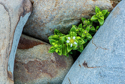 BUITEN BEELD Foto: 279776