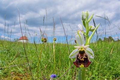 BUITEN BEELD Foto: 279841