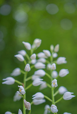 BUITEN BEELD Foto: 279867