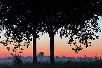 BUITEN BEELD Foto: 280013