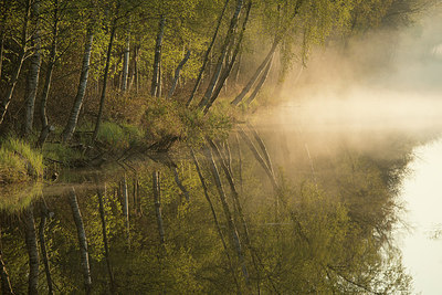 BUITEN BEELD Foto: 280017