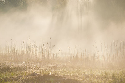 BUITEN BEELD Foto: 280018