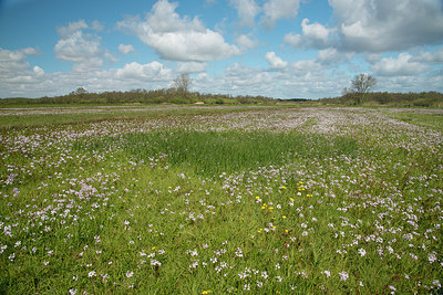 BUITEN BEELD Foto: 280022