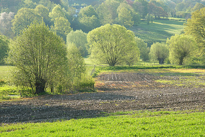BUITEN BEELD Foto: 280033