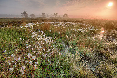 BUITEN BEELD Foto: 280039