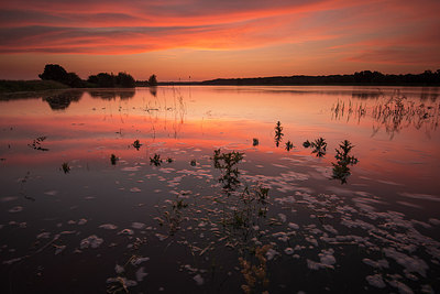BUITEN BEELD Foto: 280044