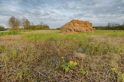 BUITEN BEELD Foto: 280046