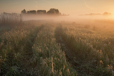 BUITEN BEELD Foto: 280049