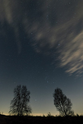 BUITEN BEELD Foto: 280066