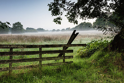 BUITEN BEELD Foto: 280140