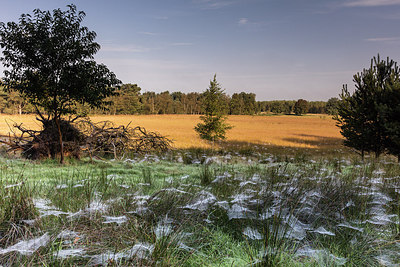 BUITEN BEELD Foto: 280201