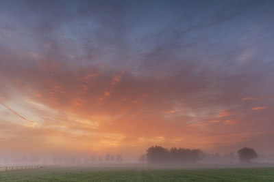 BUITEN BEELD Foto: 280250