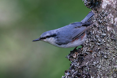 BUITEN BEELD Foto: 280331