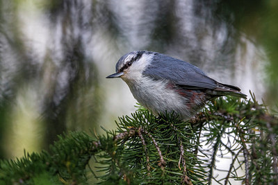 BUITEN BEELD Foto: 280339