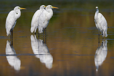 BUITEN BEELD Foto: 280402