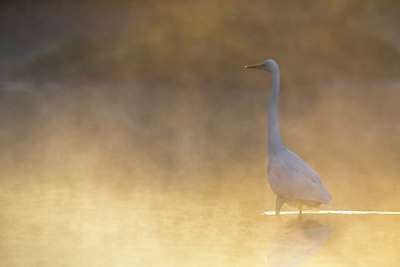 BUITEN BEELD Foto: 280407