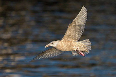 BUITEN BEELD Foto: 280449
