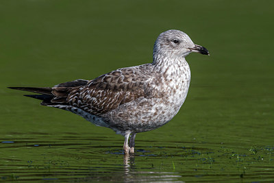 BUITEN BEELD Foto: 280524