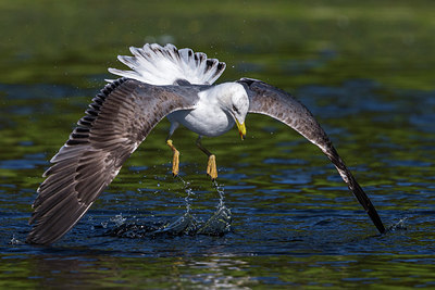 BUITEN BEELD Foto: 280525