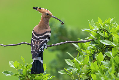 BUITEN BEELD Foto: 280567