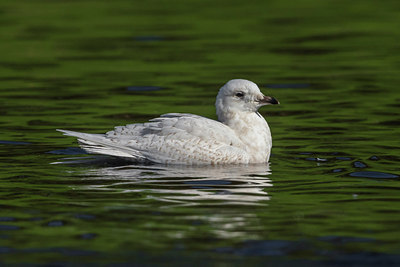 BUITEN BEELD Foto: 280570