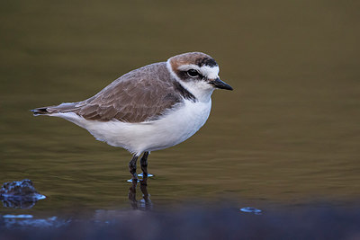BUITEN BEELD Foto: 280578