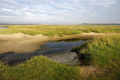 BUITEN BEELD Foto: 280619
