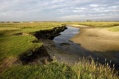 BUITEN BEELD Foto: 280620