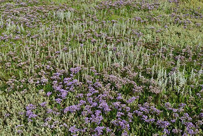 BUITEN BEELD Foto: 280631
