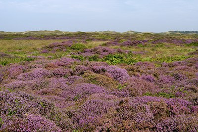 BUITEN BEELD Foto: 280637