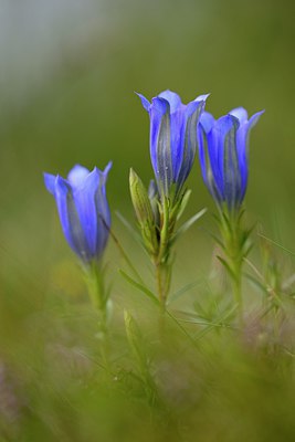 BUITEN BEELD Foto: 280642