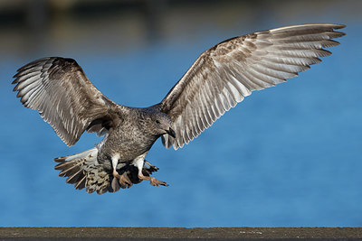 BUITEN BEELD Foto: 280663