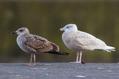 BUITEN BEELD Foto: 280666