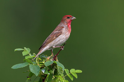 BUITEN BEELD Foto: 280779