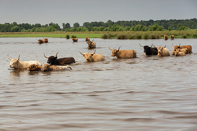 BUITEN BEELD Foto: 280889