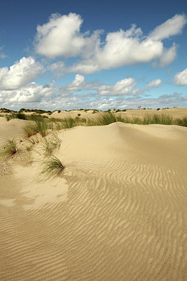BUITEN BEELD Foto: 280914