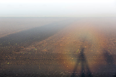 BUITEN BEELD Foto: 281052