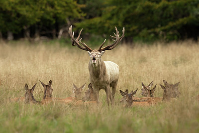 BUITEN BEELD Foto: 281060