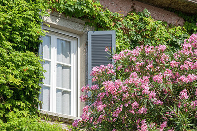 BUITEN BEELD Foto: 281085