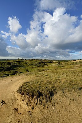 BUITEN BEELD Foto: 281152