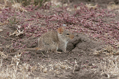 BUITEN BEELD Foto: 281153