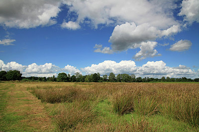 BUITEN BEELD Foto: 281184