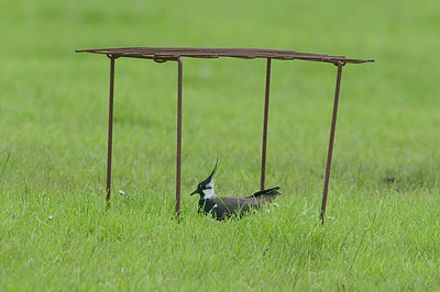 BUITEN BEELD Foto: 281213