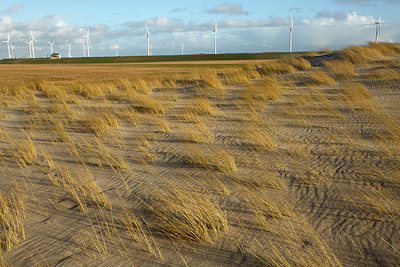 BUITEN BEELD Foto: 281262