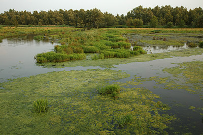BUITEN BEELD Foto: 281264